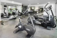 Seth Punta Prima - Gym