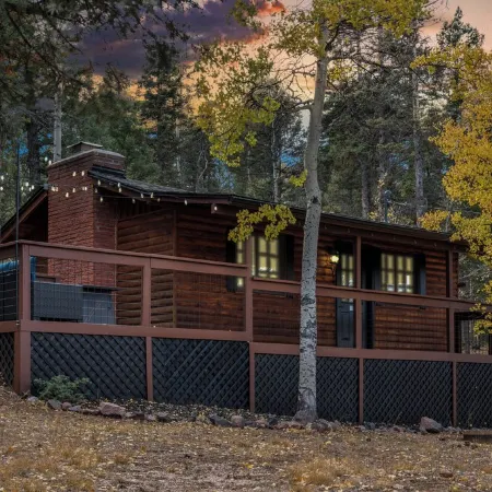 Mini Mountain Retreat surrounded by Trees in enchanting Divide with WiFi