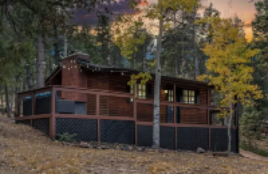 Mini Mountain Retreat surrounded by Trees in enchanting Divide with WiFi