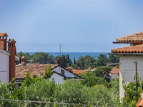 Olivo