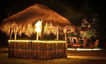 Dreamsea Surf Camp