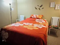 The Cozy Little Home