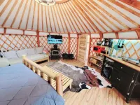 Relax in the City at Our Unique Yurt Retreat