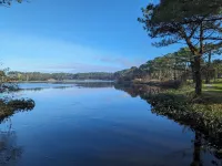 Escape to the heart of the Landes! فنادق في Soustons