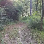 "Sheriff's Office" at Oak Arbor