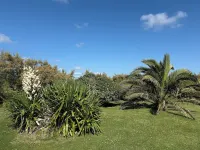 Longère on the edge of the Havre, charming house, breathtaking views, peaceful setting. Hotels in Portbail