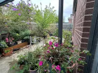 Quiet Comfort for Relaxing Stays