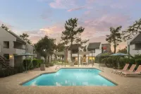 Spacious 1BR for Work or Rest