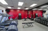 Hilton Garden Inn Edison/Raritan Center - Gym