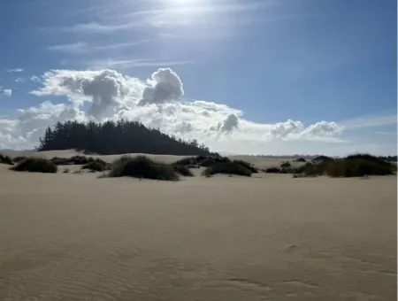 Ms. Ellie’s Estate is welcoming guests! Отели рядом с достопримечательностью «Sky Bar»