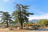 Peaceful 1BR/1BA Retreat by the Mountains – A Cozy Escape in LA Hotels in Sylmar