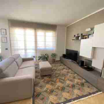 Bright Flat Prada District Others