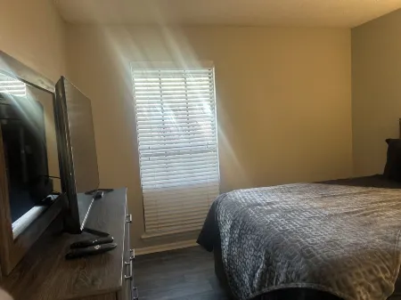 Charming 1-bedroom apartment in lovely Tampa with fitness room, WiFi