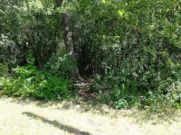 fast wifi, perfect remote worker home, 6 acres of secluded nature Hotels in Benton Township