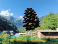 Tosh Heights Cottages - THC #1 Hotels in Tosh