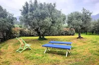 Olive Grove Garden House With Mountain View Close to Forte dei Marmi Hotels in Seravezza