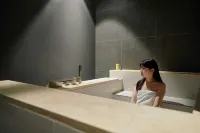 Nouvelle Hotel and Spa Seoul Jongro by Aank - spa