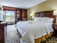 Hampton Inn Tampa-Airport/Westshore Hotel a Tampa