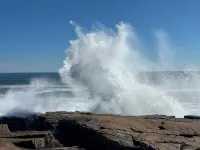 Beautiful Acadia views on 4 serene acres.  Private and peaceful after exploring