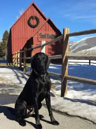Sun Valley Adventure Condo