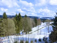 Ski- Und Wanderurlaub im Wald Ferienhaus Adlerblick - Parvekkeita