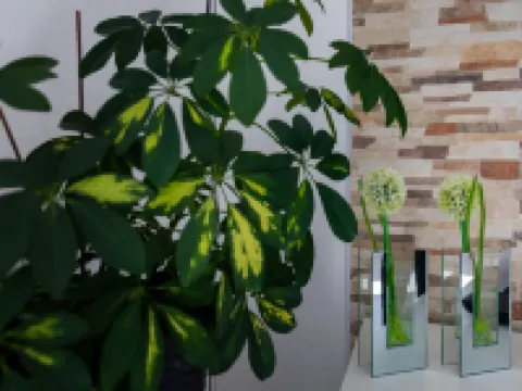 2 room apartment with hot tub