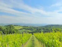 Tranquil Escape in Tavullia