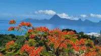 New Paradise Sanctuary Hotels in Punaauia