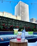 Hyatt Regency Rochester - bar