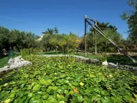 Holiday Home in Sciacca with Pool & Garden