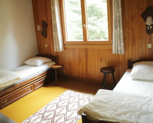 Apartment with private garage in Chatel Hotels in Châtel