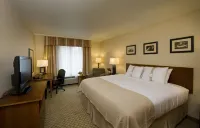 Holiday Inn PURDUE - FORT WAYNE by IHG - Pool