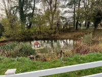 Seaton's Hidden Gem Charming Holiday Cottage With Garden - Homestays