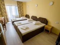 Casa Domneasca Riana Hotels in Pitești