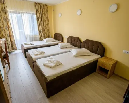 Casa Domneasca Riana Hotels in Pitesti