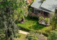 Samanea Wellness Resort Hotels in 