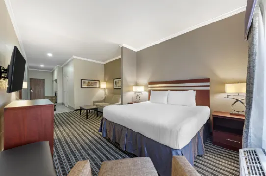 Best Western Plus Austin Airport Inn  Suites