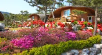 Taean Pension Tom and Jerry