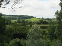 Elm View