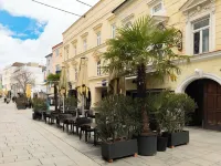 Limehome Wels Ringstraße Hotels in Wels