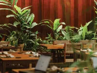 Palmar Beach Lodge - breakfast