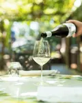 Resort & Winery Bosco De Medici - bar