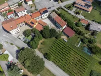 Vigna Degli Angeli - Farmhouses
