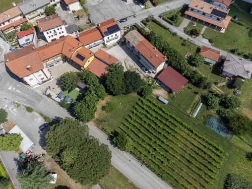 Vigna Degli Angeli - Farmhouses