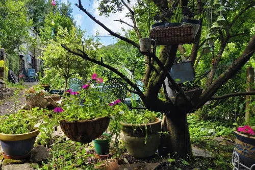 懷河邊寧靜的林間小屋 - 2 星級