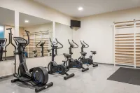 ALEGRIA Caprici Verd - Gym