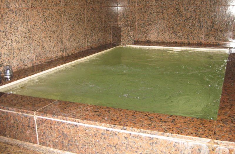 Tokiwa Ryokan photo 2
