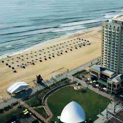 Hilton Virginia Beach Oceanfront Hotel Exterior