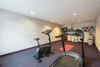 雅典埃託瓦紅頂飯店 - 寵物友善