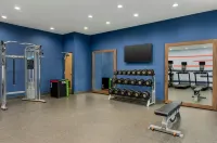 Hampton Inn Lake Charles - Gym